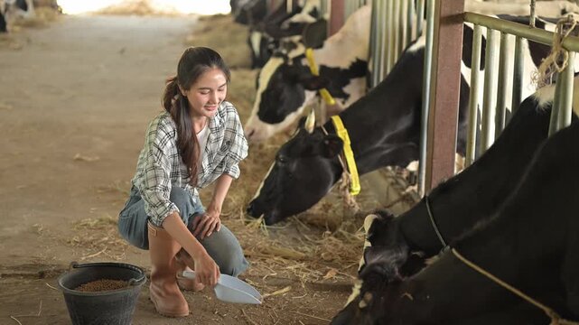 Happy young woman worker of livestock feeding for cows. Concept dairy farm