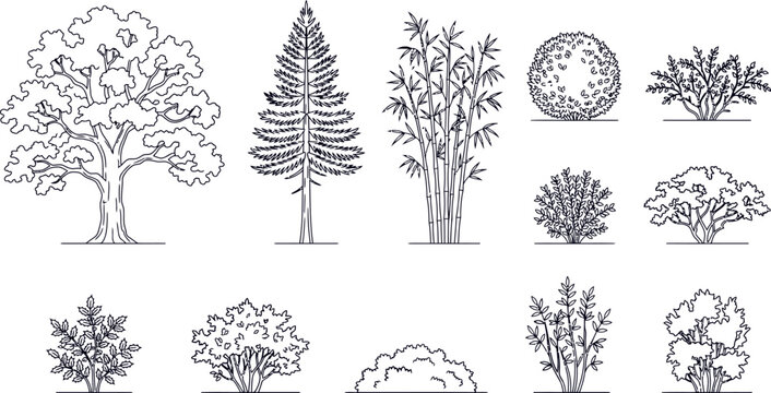 Front Elevation Tree and Shrub Line Art Set for Architectural Renderings