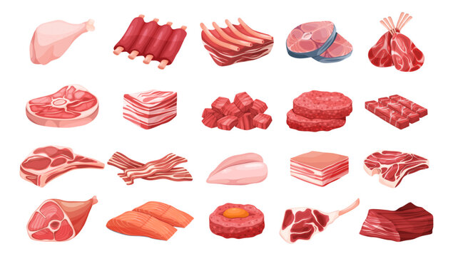 Fresh raw meat types. Ribs and chicken leg, pork cuts and fish pieces, bacon and ham, beef and steak, meatballs and fat. Vector food ingredients for cooking, menu design and packaging visuals