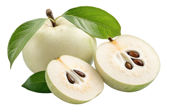 Fresh sapote fruit on white background isolated on a transparent background