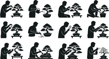 Obraz premium Man caring for bonsai trees in different styles