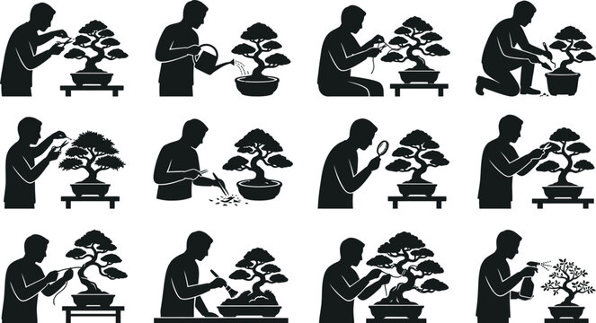 Man caring for bonsai trees in different styles