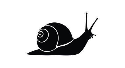 Black snail silhouette against a white background silhouette high quality professional detailed © MIRAJ02