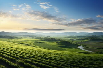 Obraz premium Agricultural landscape with fertile green fields and a winding river at golden hour