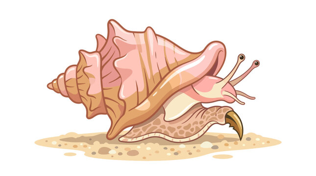 Queen Conch Snail Crawling on Sandy Sea Floor