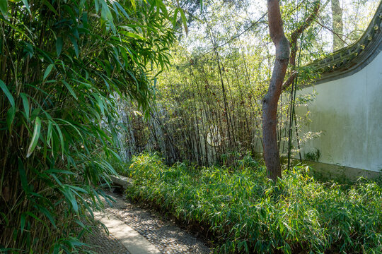 Sentier paisible au c&oelig;ur d&rsquo;un jardin de bambous