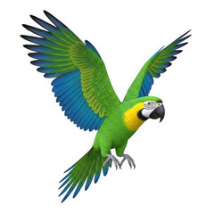 Fototapeta premium Beautiful green and blue macaw parrot flying with wings spread wide