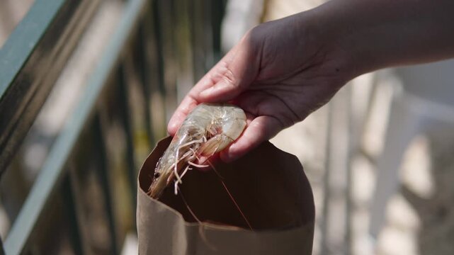 Woman taking fresh langoustine out of paper kraft eco bag and inspecting it. Purchase of freshly caught chilled seafood at fish market in Mediterranean city. Close-up of gray giant shrimp in hand.