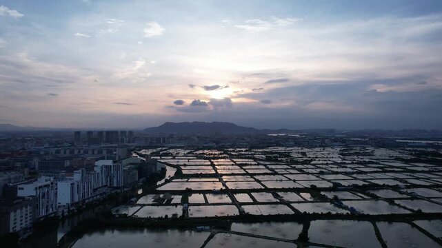 4K aerial video of aquaculture and farmland in urban-rural fringe areas