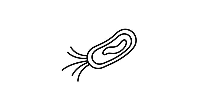 Simple line drawing of a bacterium with flagella, isolated on white background.