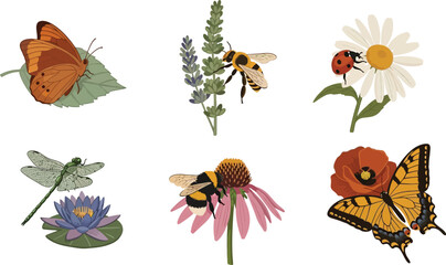 Collection of garden insects and flowers including butterflies bees ladybug and dragonfly in a charming illustration style for nature and summer themes © Ali