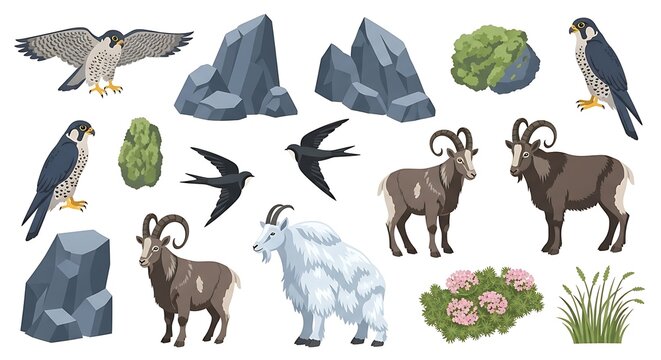 Collection of mountain animals birds rocks and plants in vector style