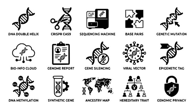 Genetic engineering and genomics concepts illustrated in simple black icons