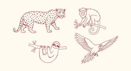 Obraz premium Tropical Jungle Wild Animals Line Art Set with Leopard Monkey Sloth and Parrot Illustration Pack