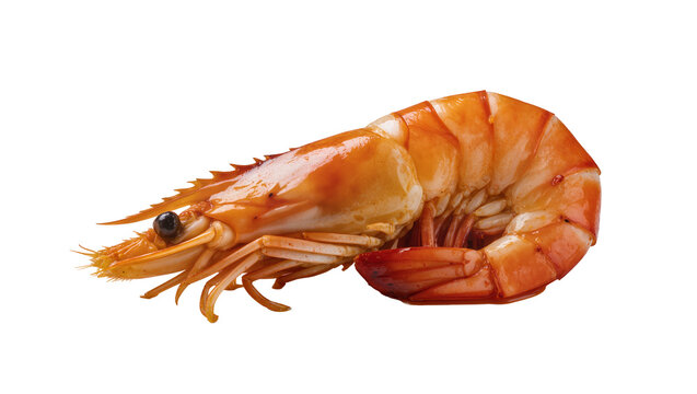Cooked orange shrimp with glossy glaze, isolated on transparent background