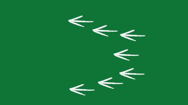 Hand-Drawn Multiple Left Arrows Direction 2D Animation on Green Screen
