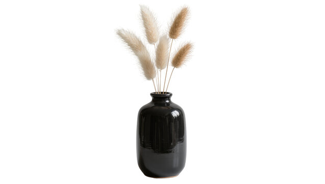 Black ceramic vase holding fluffy dried bunny tail grass, isolated on transparent background