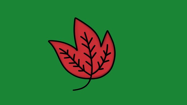 Hand-Drawn Red Fall Leaf 2D Animation on Green Screen | Vibrant Autumn Foliage Animated Asset | Expressive Nature Motion Graphic