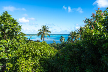 Fototapeta premium Coastal View and Ocean on Maupiti Island, French Polynesia