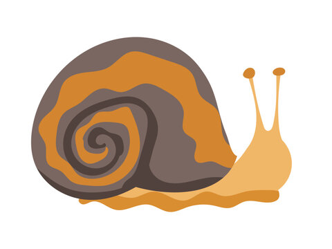 Snail cartoon with spiral shell, small animal, slug animal or snailfish