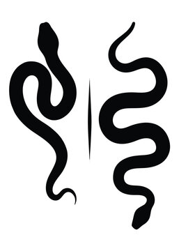 snake silhouette, Snake silhouette vector icon, black cobra and anaconda symbols, curved serpent illustration, isolated reptile logo design