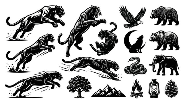 Wildlife and Outdoor Adventure Vector Illustration Set: Monochrome Engraving Style Animals, Nature Elements  Camping Gear Collection