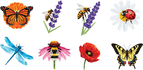 Collection of colorful insects and flowers including butterflies bees dragonfly and ladybug on white background perfect for nature illustrations © Ali