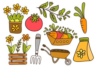 organic garden vegetables and traditional farming tools © foxndeer
