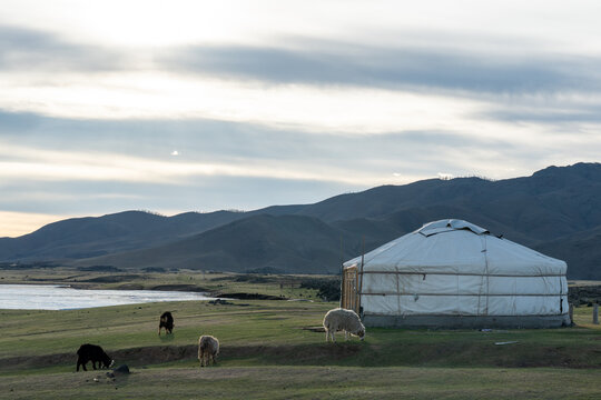 mongolian ger and sun of nature
