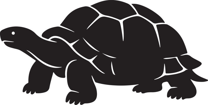 a tortois vector sillhutte