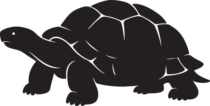 a tortois vector sillhutte
