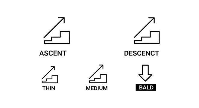 set of linear icons for ascent descent thin medium and bald concepts