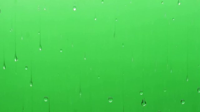 Realistic Rain Water Droplets Falling on Glass Green Screen Chroma Key Background