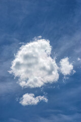 Fototapeta premium Single white cloud in blue sky vertical view