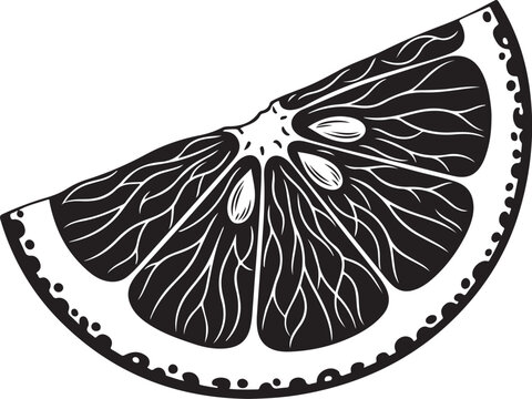 Black and white of a citrus wedge with seeds and membranes