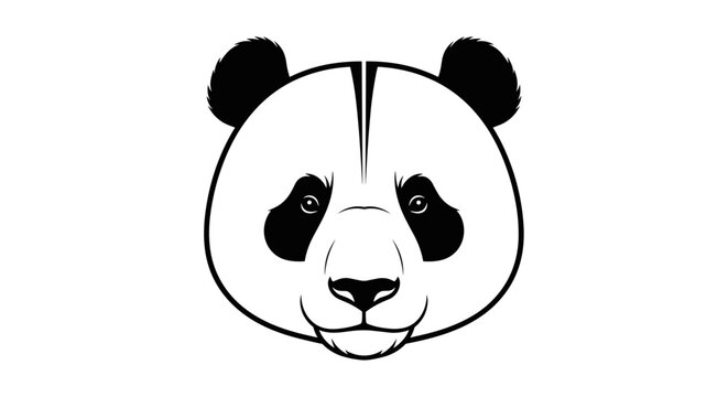 Panda bear face close up drawing.