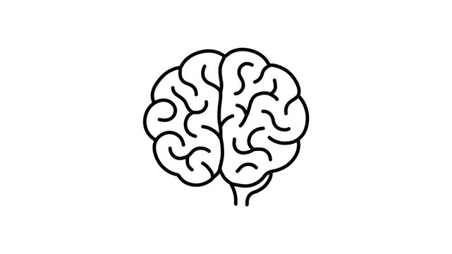 human brain anatomy, AI Brain Outline Animation on White Background for Digital Technology Concept.