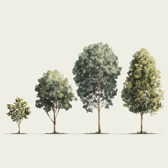 Fototapeta premium Four trees with varying green leaves stand on a plain background with different shades.