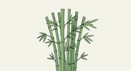 Fototapeta premium Bamboo stalks with green leaves growing.