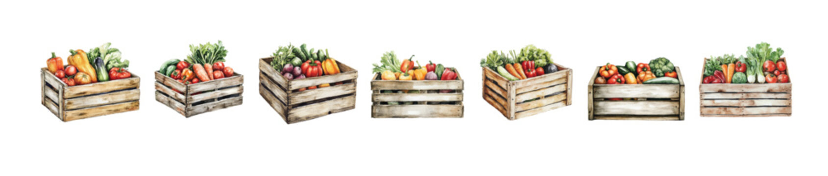 Adobe Illustrator Artwork, A Collection of wooden crate with vegetable painting designs, vectorized, vector set available in EPS, Simple Hand-painted watercolor style, vector set available in EPS