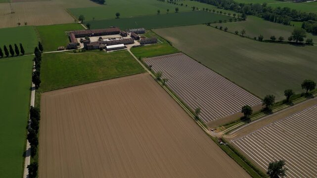 Rural Estate Landscape: An aerial view showcases a sprawling rural estate nestled amidst vast cultivated fields, featuring agricultural buildings, treelined pathways.