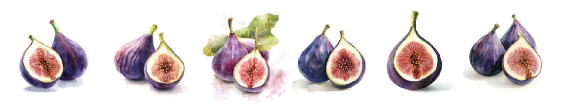 Adobe Illustrator Artwork, A Collection of fresh fig painting designs, vectorized, vector set available in EPS, Simple Hand-painted watercolor style, vector set available in EPS