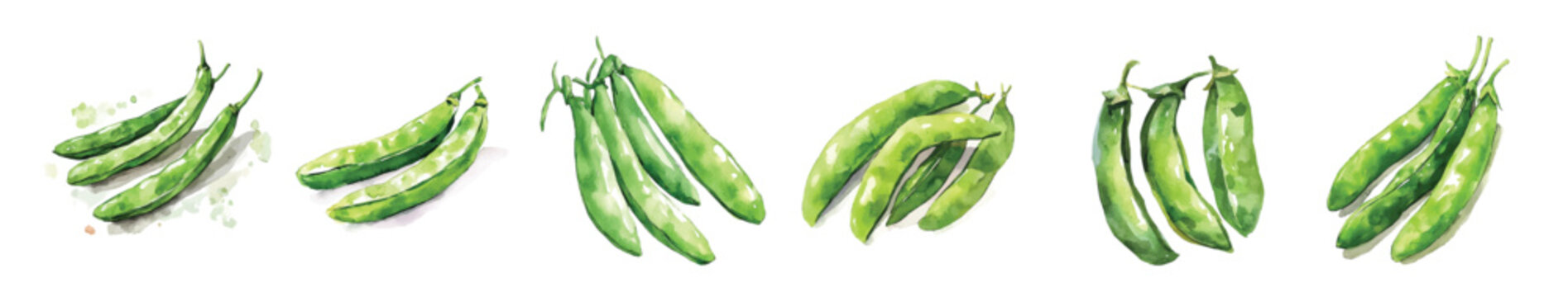 Illustration of green bean painting design set, Hand-painted style, vectorized, vector set available in EPS, Simple Hand-painted watercolor style, vector set available in EPS, Simple Hand-painted