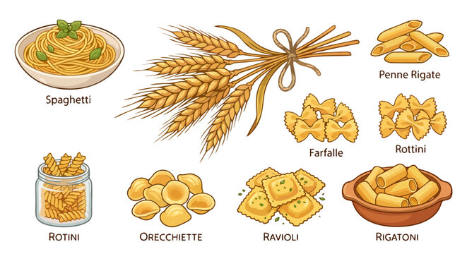 Labeled Italian Pasta Types Collection with Wheat Sheaf &mdash; Spaghetti, Penne Rigate, Farfalle, Rottini, Rotini Jar, Orecchiette, Ravioli and Rigatoni Bowl Detailed Cartoon Style