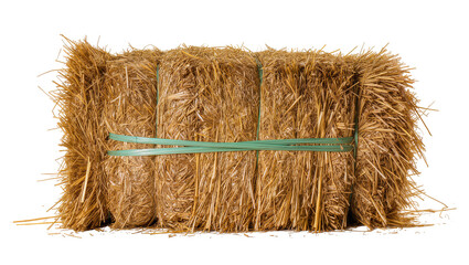 Rectangular golden hay bale bound with green plastic straps, isolated on transparent background © Maria