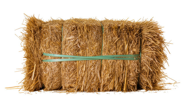 Rectangular golden hay bale bound with green plastic straps, isolated on transparent background