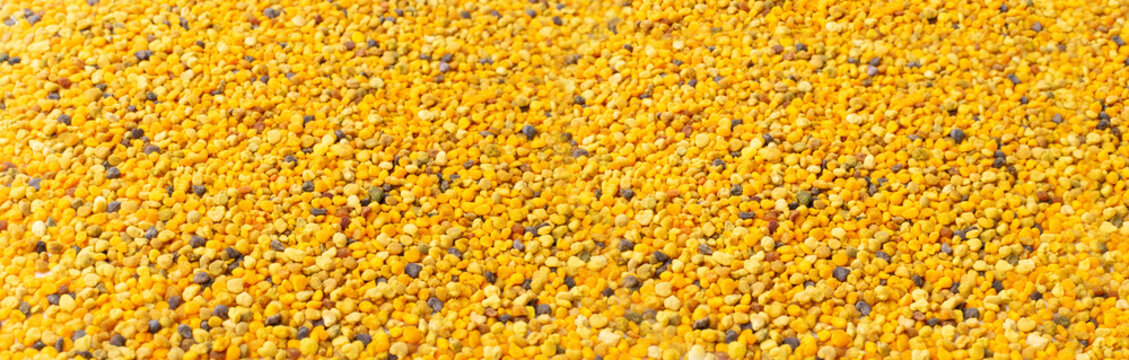 Bee Pollen, Perga, Flower Pollen Grains or Bee Bread