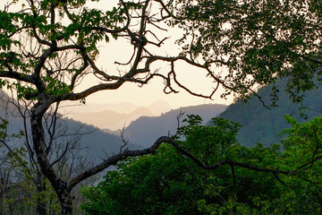 Fototapeta premium Scenic mountain landscape framed by branches and lush greenery