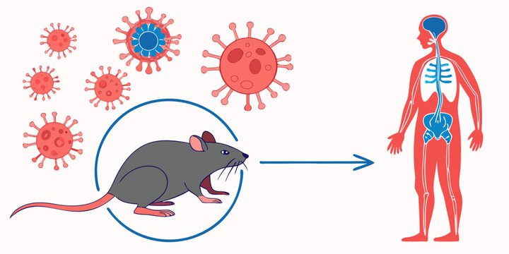 Hantavirus outbreak illustration showing zoonotic rodent transmission causing pneumonia and serious viral respiratory illness worldwide.