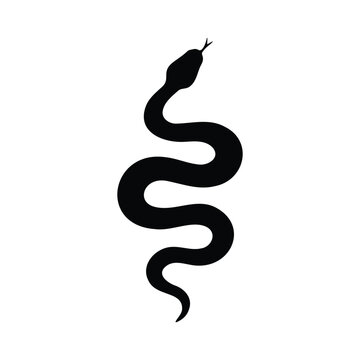 Snake silhouette icon vector flat design.
